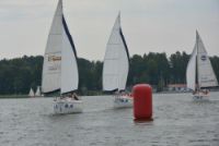 Festiwal baner
